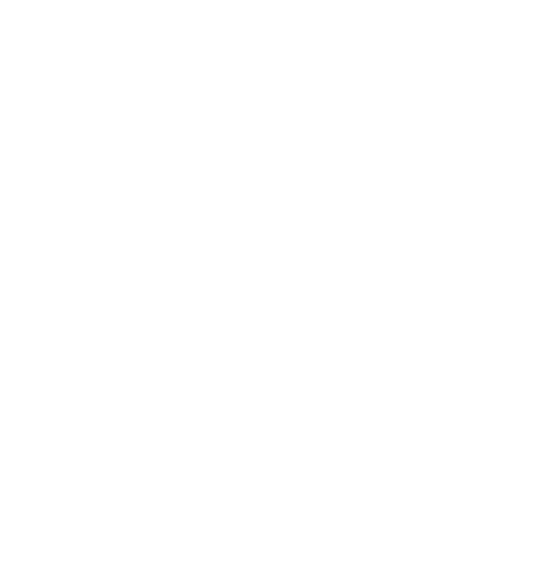 icon-white